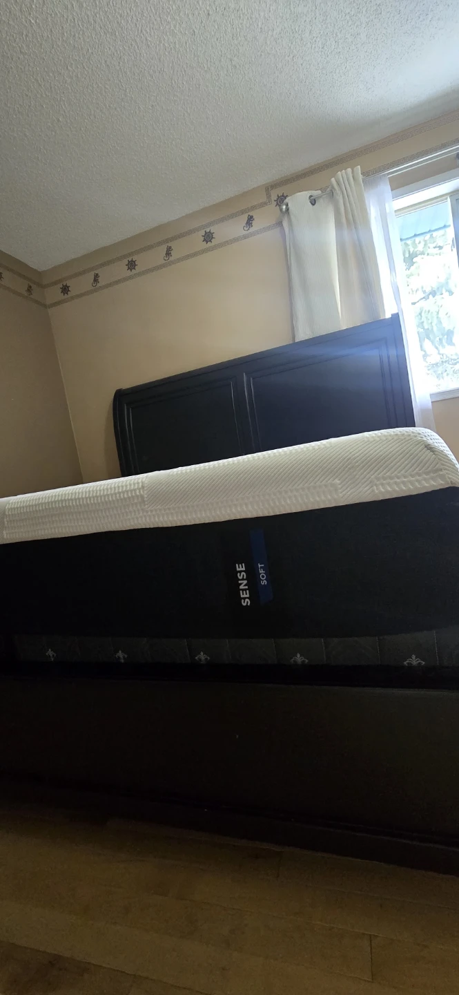 Tempur-Pedic Mattress