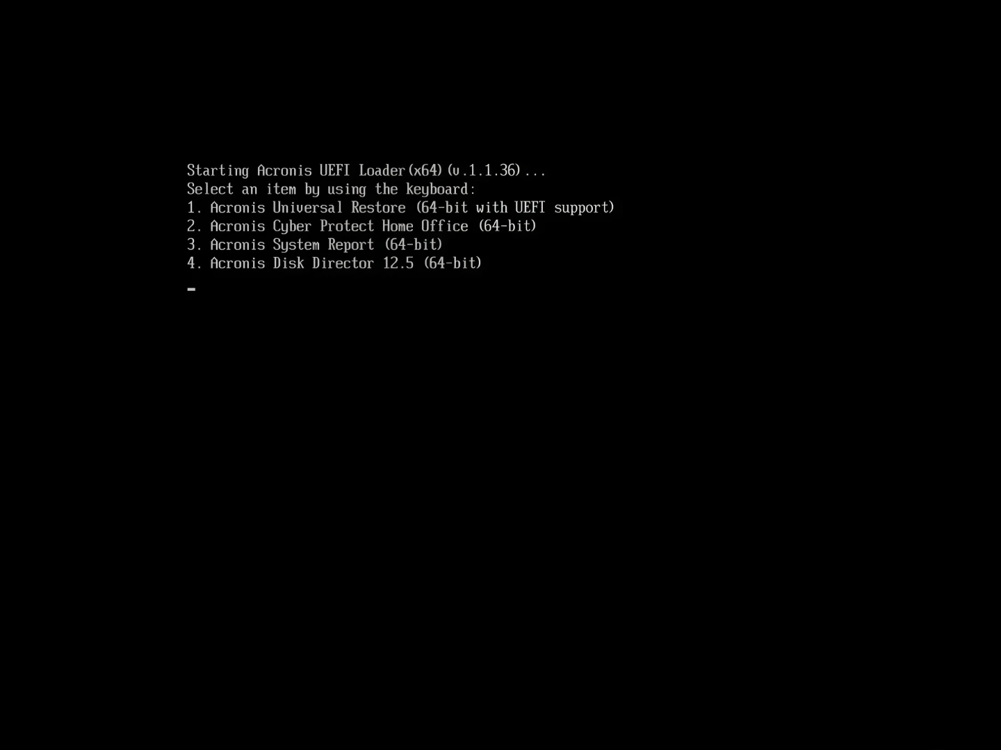Acronis All In One Bootable DVD (2021) - photo 3