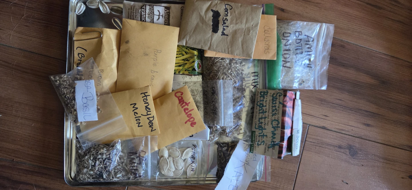 Assorted Vegetable and Herb Seeds