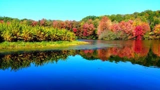 Lakefront. Land. Jim. Thorpe. Pa. 186x87.