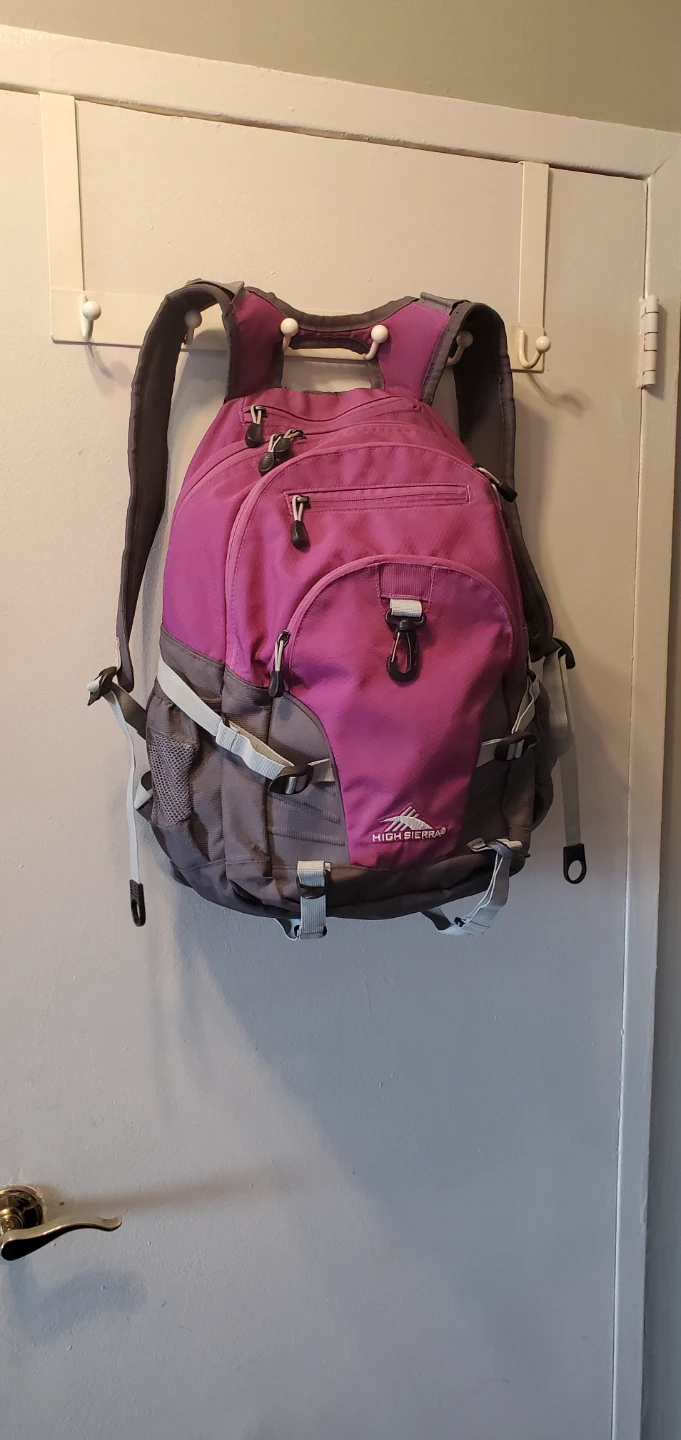 2 Laptop High Sierra Backpacks