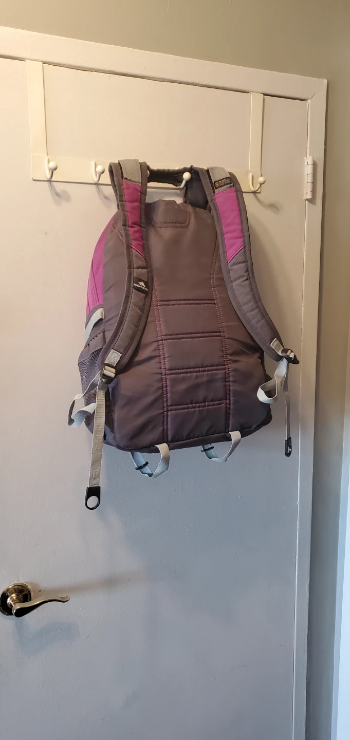 2 Laptop High Sierra Backpacks - photo 3