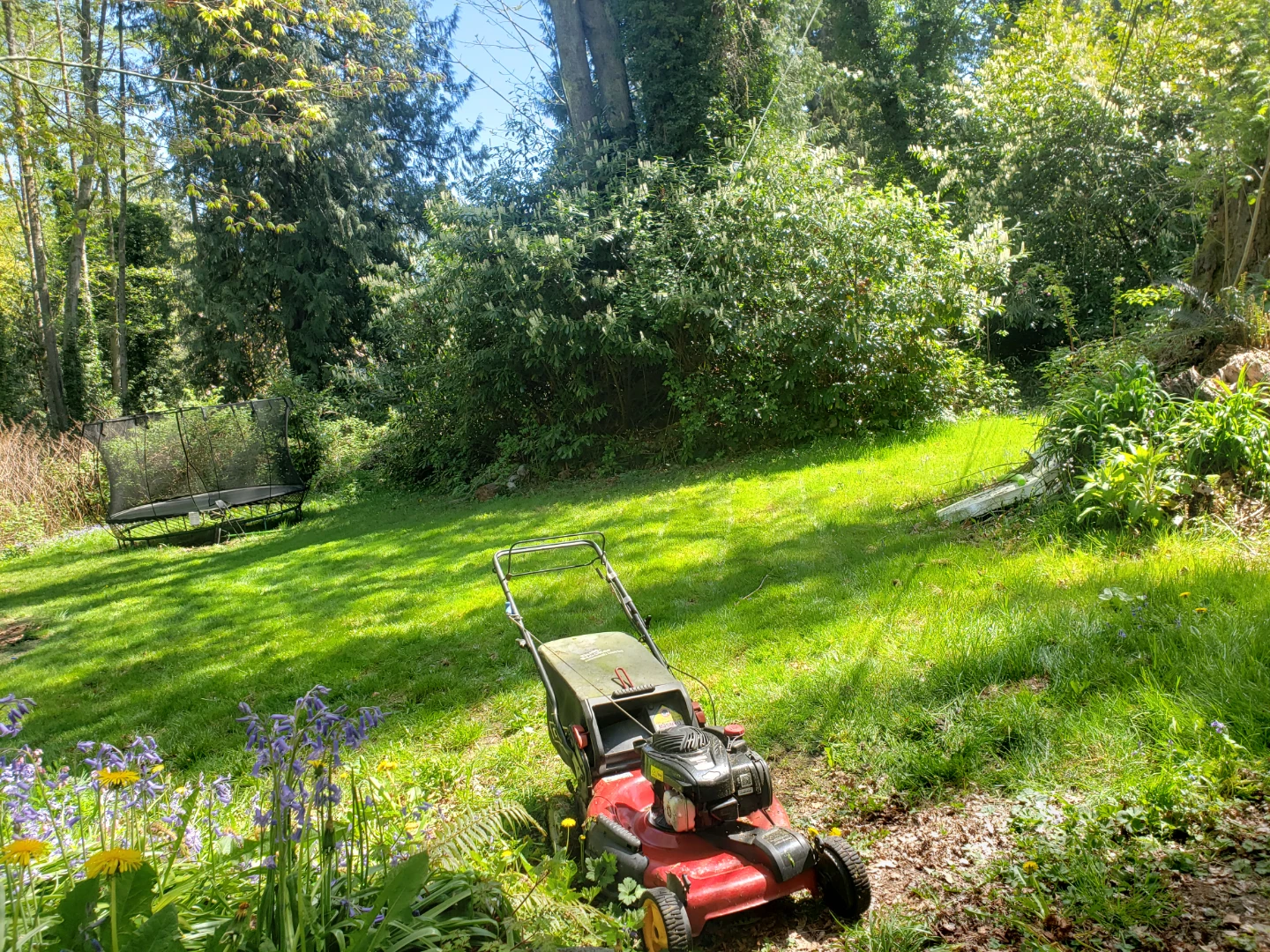 Lawn mowing service