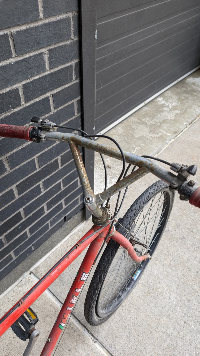 Miele Vintage MTB - photo 4