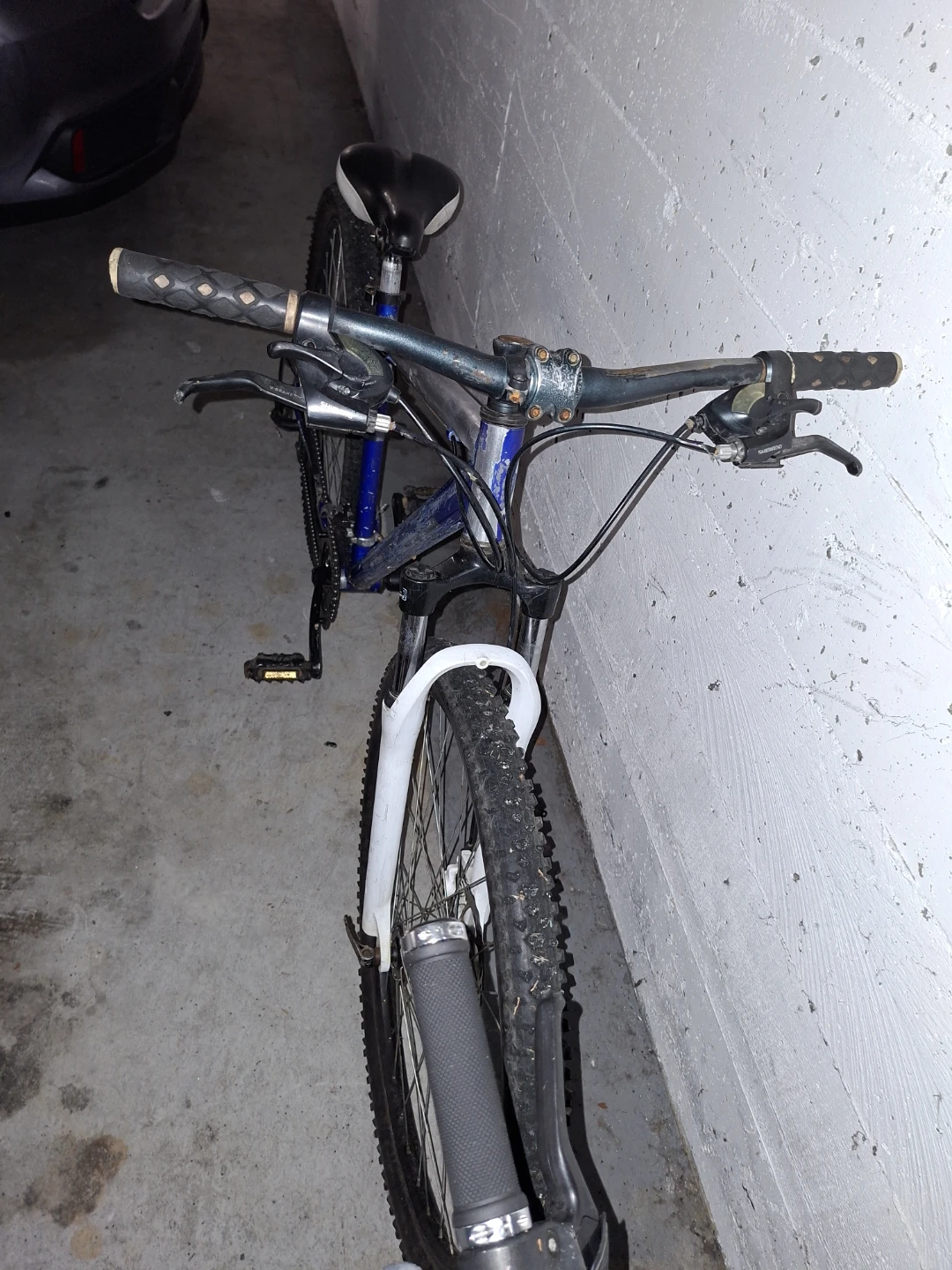 Blue Mountain Bike