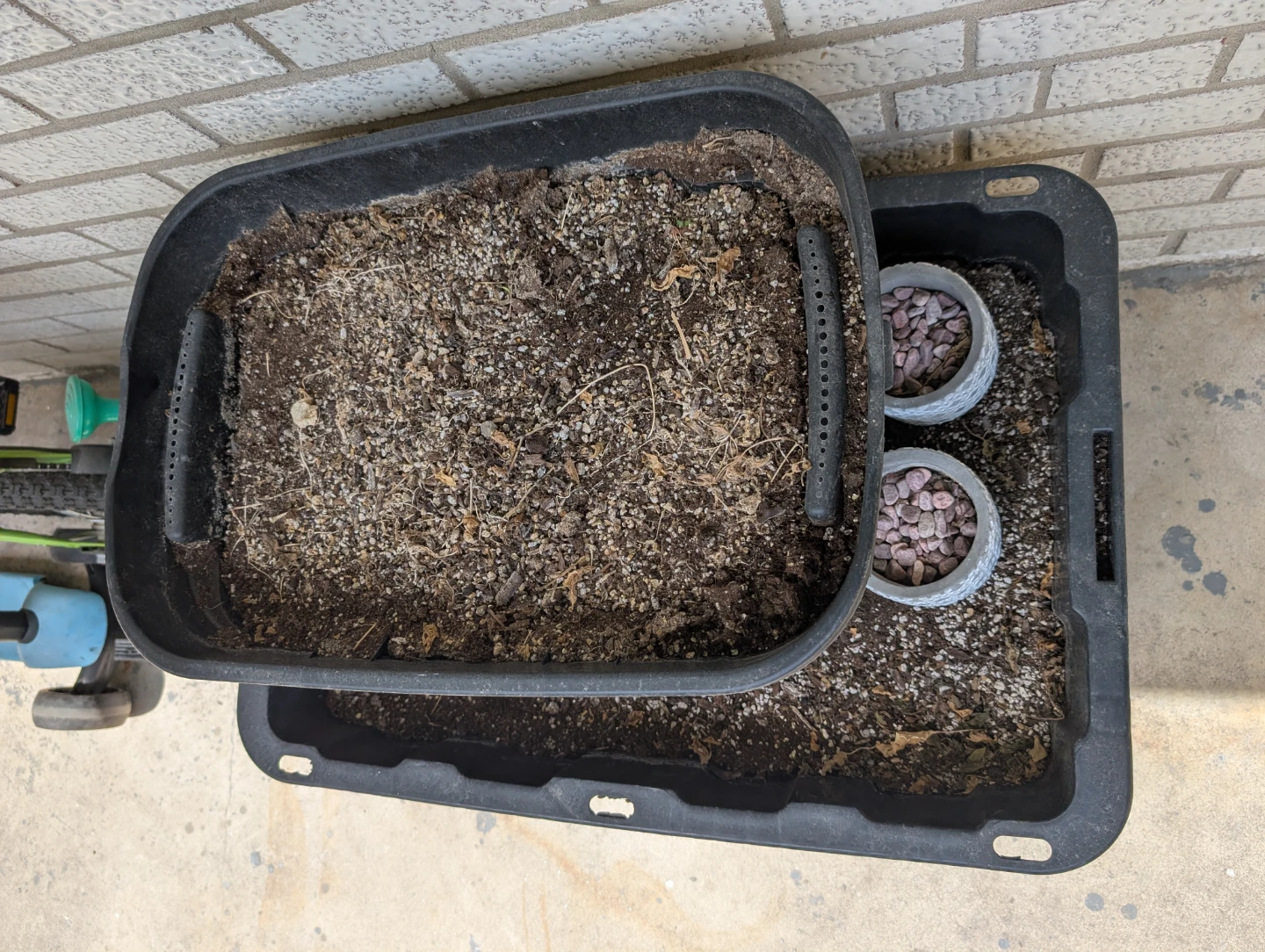 Plant Soil