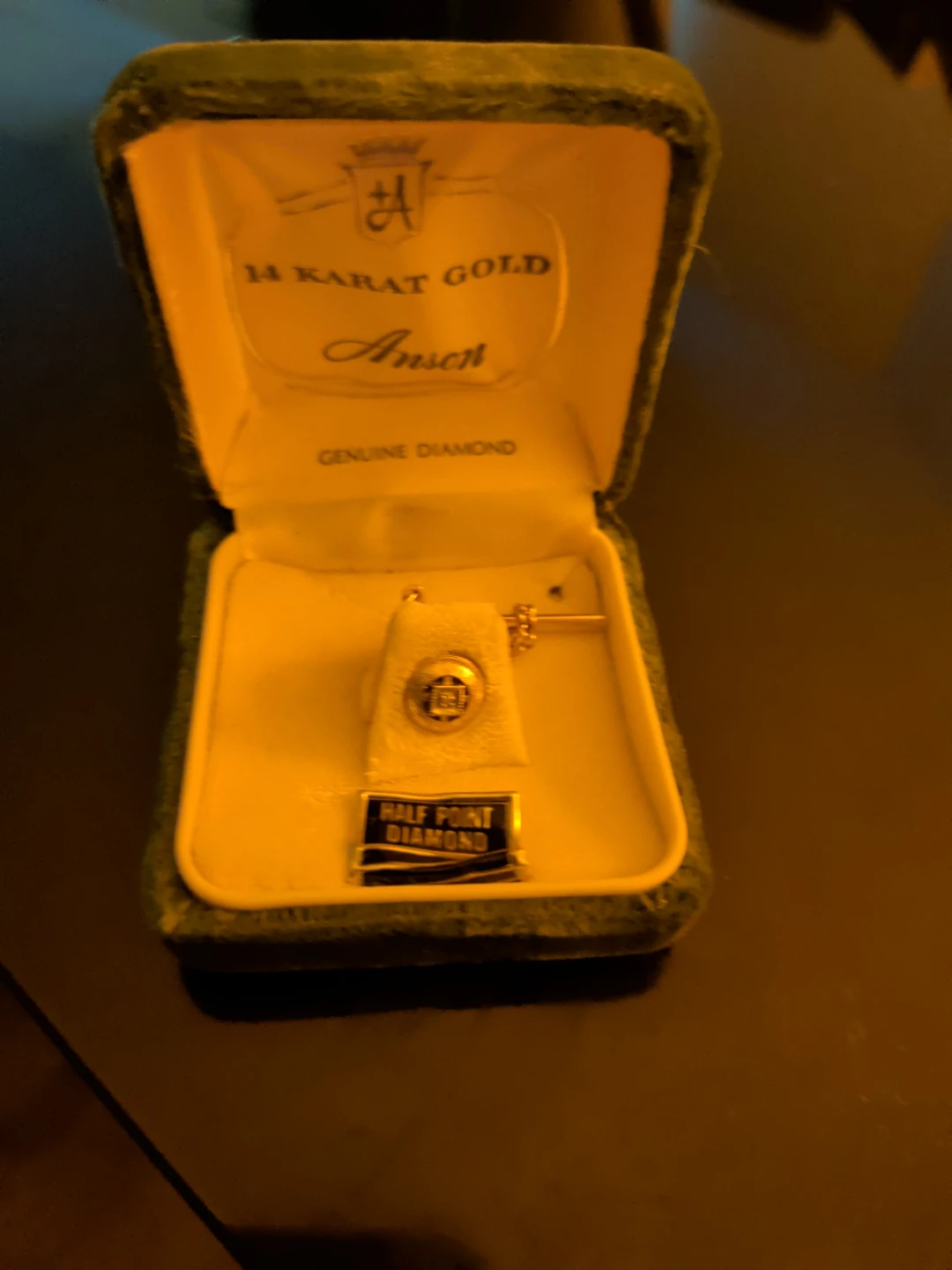 Anson 14 Karat Gold Tie Clip with Diamond