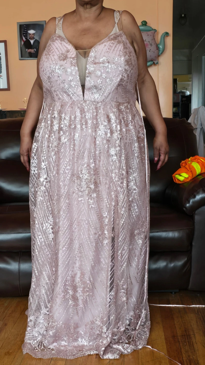Women's Pink Sequin Lace Gown