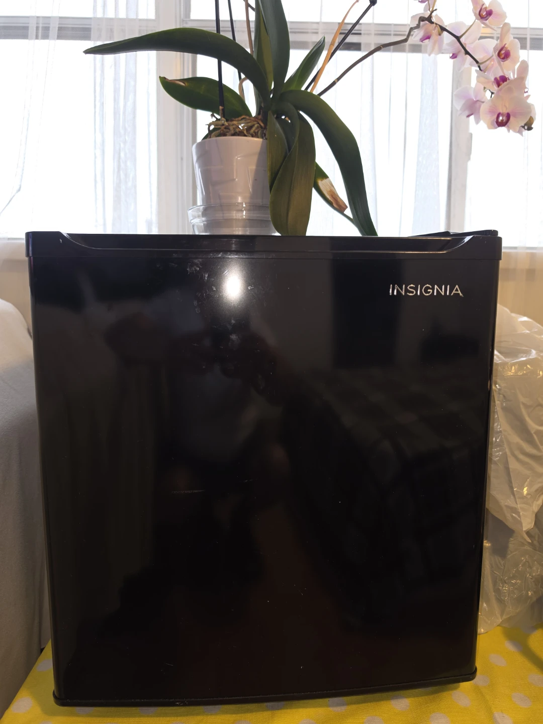 Insignia Black Mini Fridge - photo 2