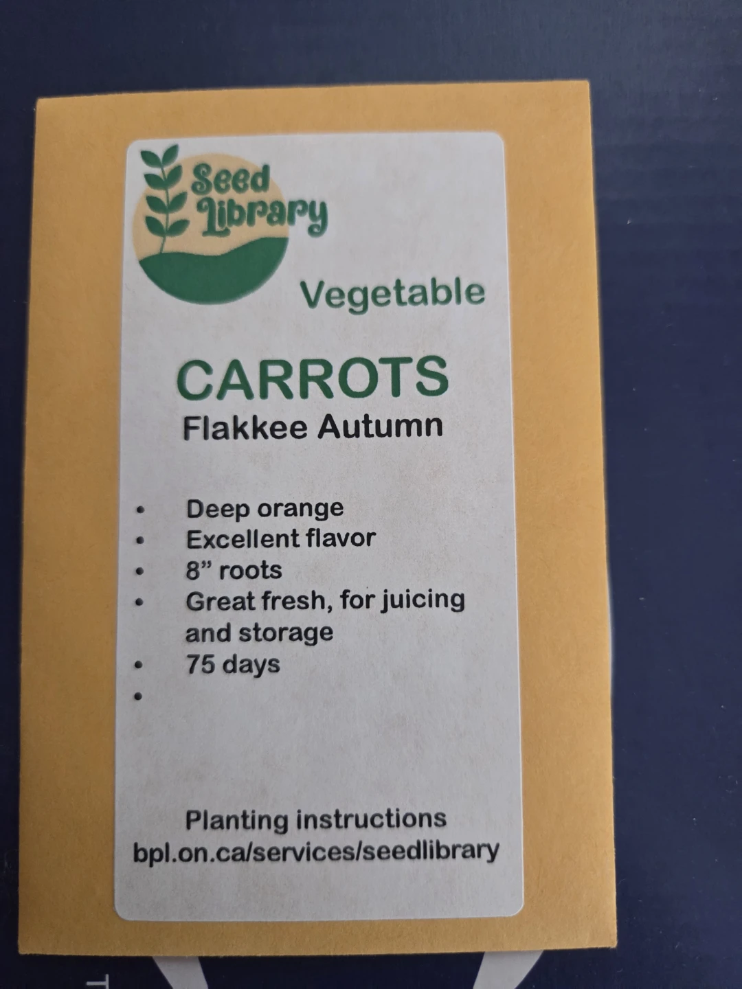 Seed Library Carrots - Flakkee Autumn