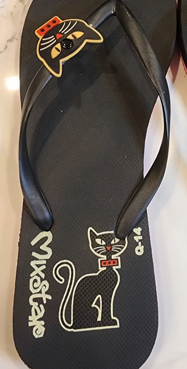 Mixstar Black Flip Flops with Cat Design - New - photo 2