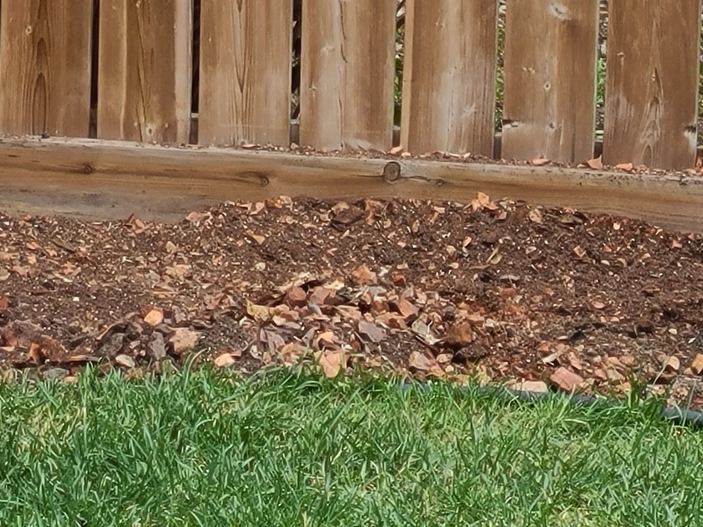 Home Depot 5 Gallon Buckets with Rocks