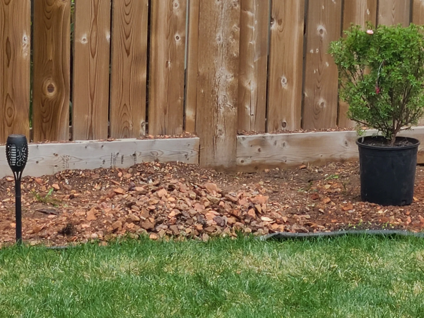 Home Depot 5 Gallon Buckets with Rocks - photo 2
