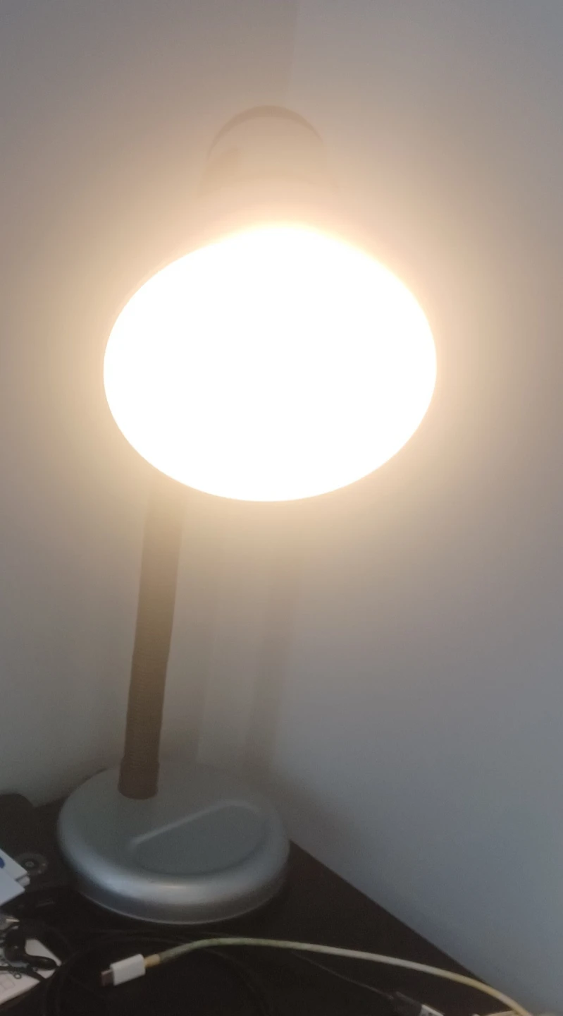 Adjustable Desk Lamp - photo 2