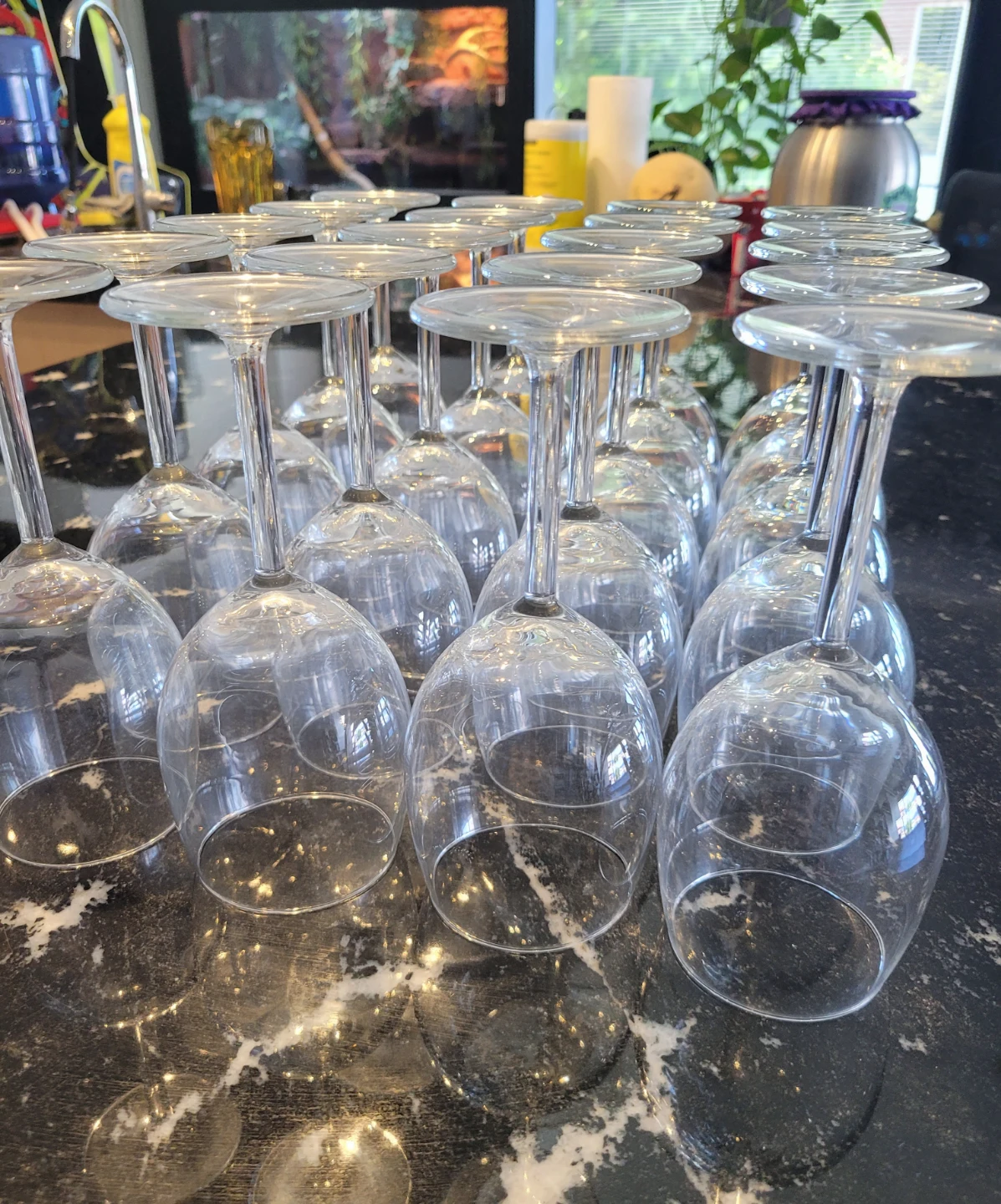 20 wine glasses