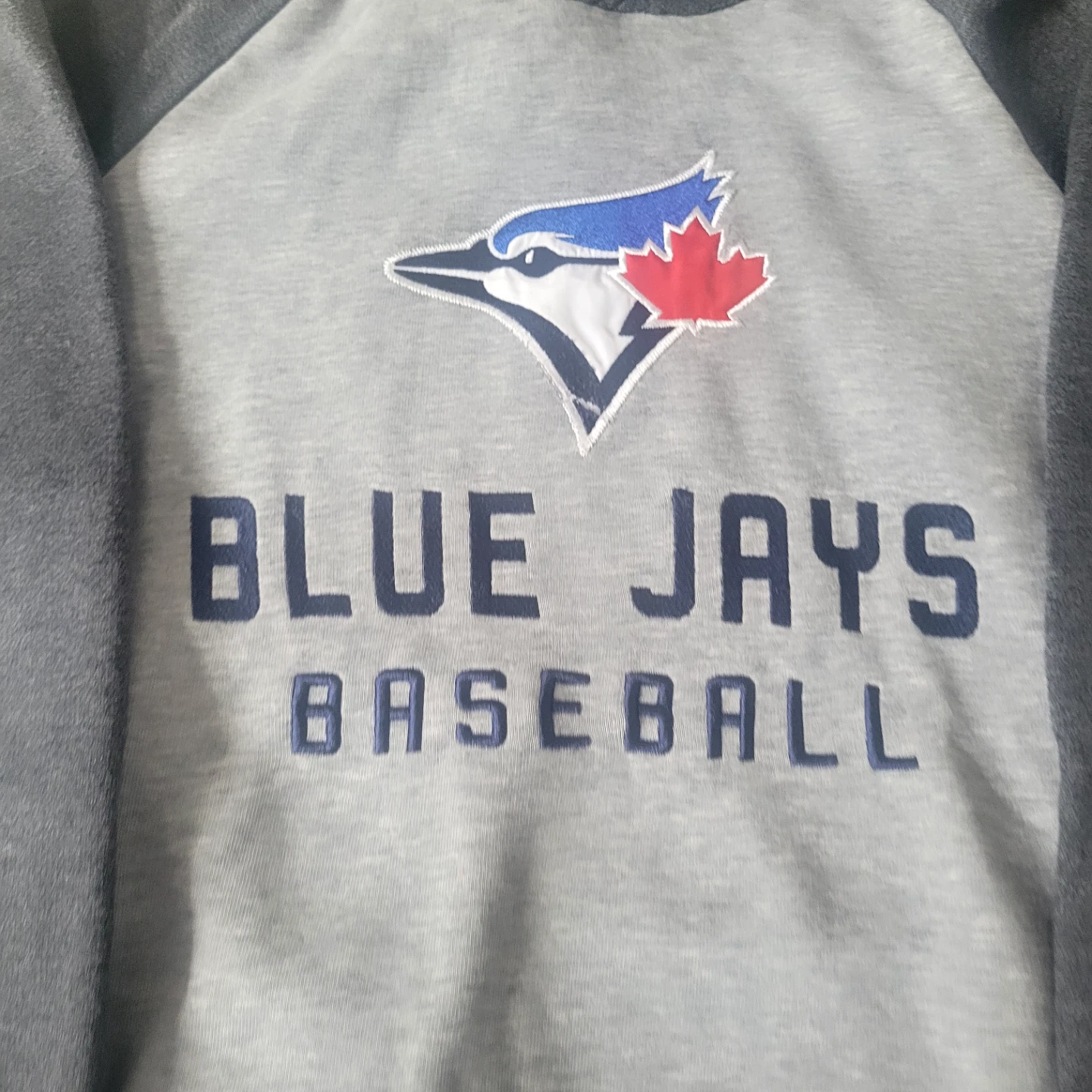 Youth Toronto Blue Jays Baseball Hoodie - photo 2