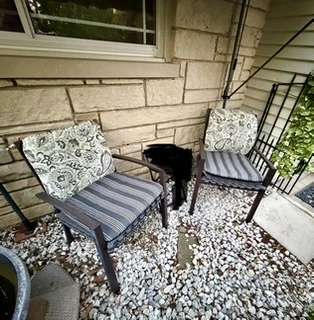 Set of 2 Outdoor Patio Chairs