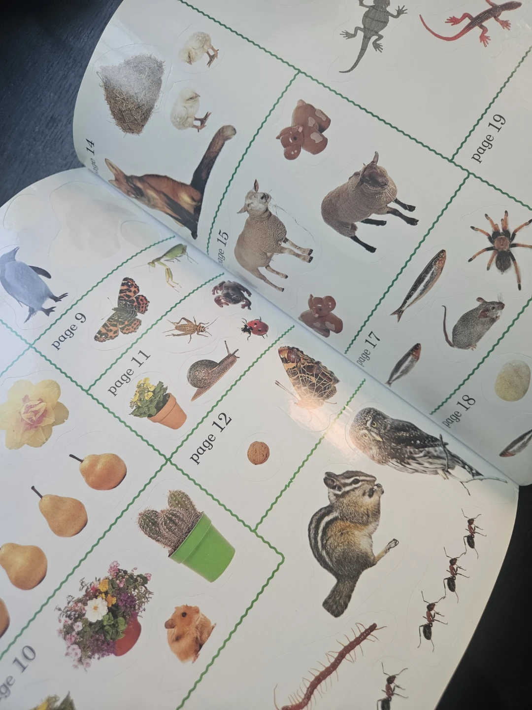 My Super Book of Stickers - photo 3