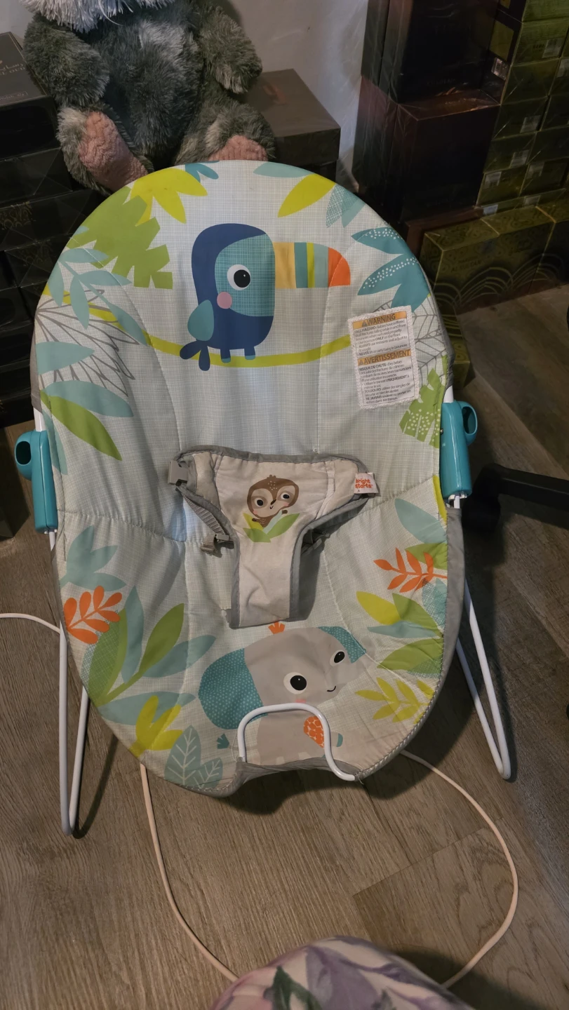 Bright Starts Baby Bouncer Seat - Jungle Theme