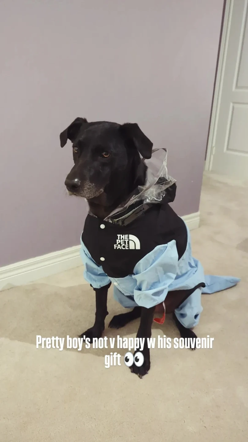 The Pet Face Dog Raincoat