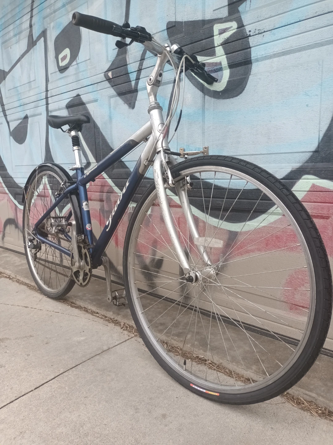 2 Bikes Giant, garyfisher $220 Each