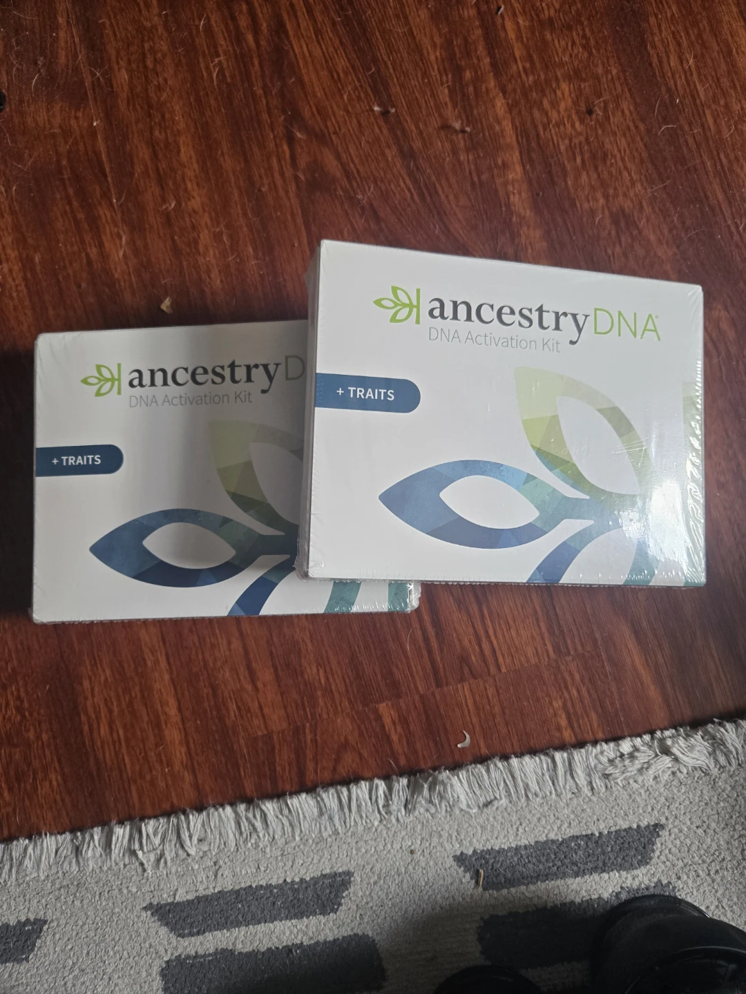 AncestryDNA + Traits DNA Activation Kit (2-Pack)