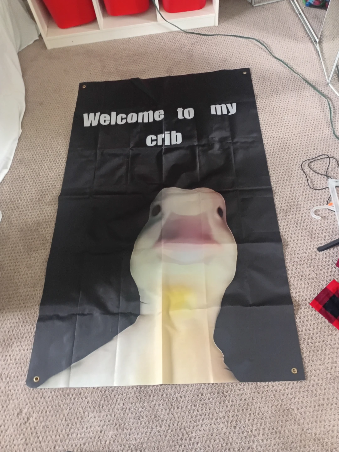 Welcome to my crib funny duck banner