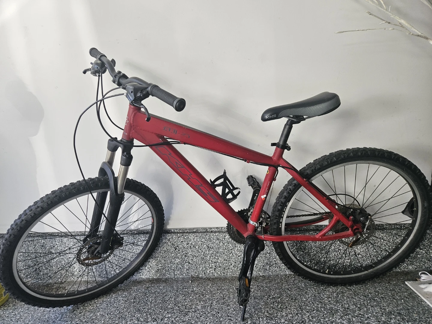 Everyday Traveler Bicycle