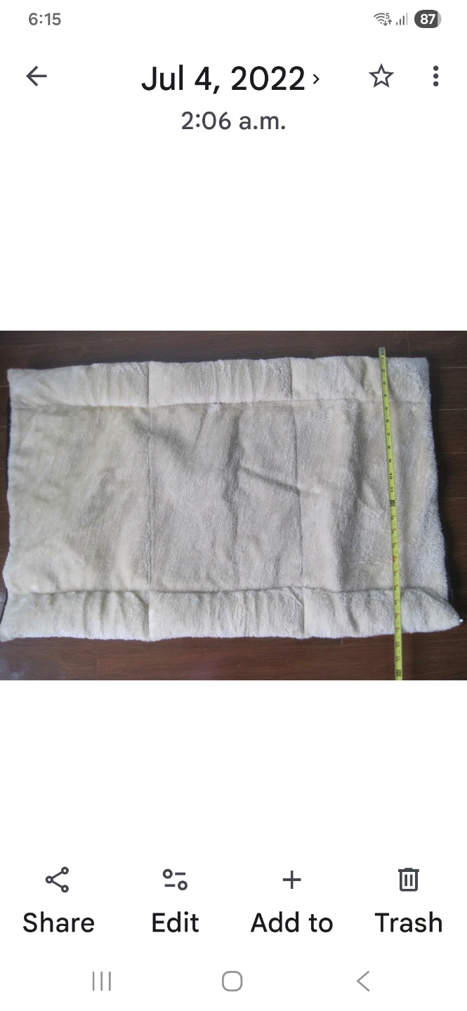 Pet Bed/Mat. Beige - Polyester Fiber. It's available. - photo 3