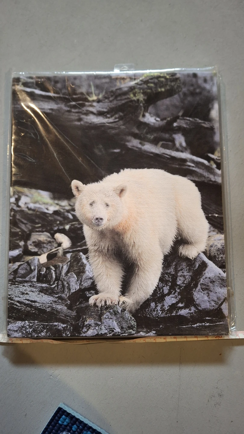 Dave Hutchison Polar Bear Art Print - photo 3