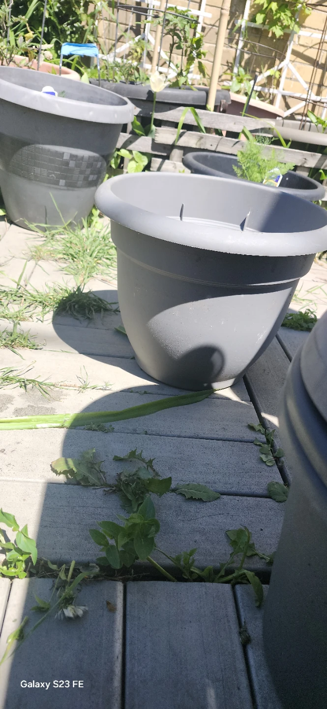 Grey Plastic Planter Pot - photo 4