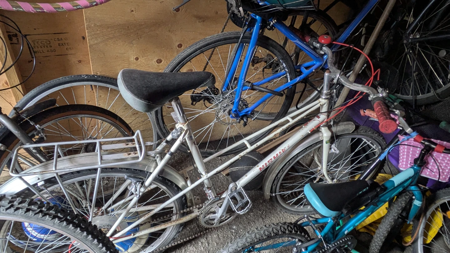 Nishiki Women's Cruiser Bicycle