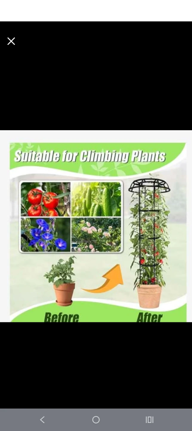 Plant Support Cage for Climbing Plants
