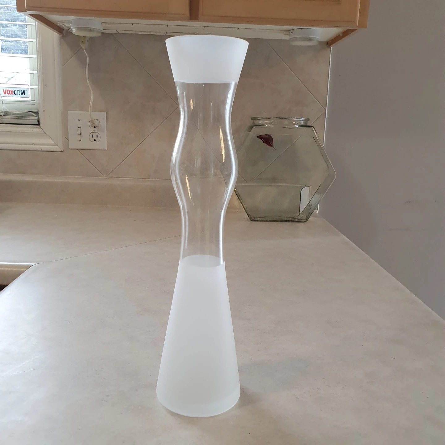 Frosted Glass Vase (multiple available) - photo 2