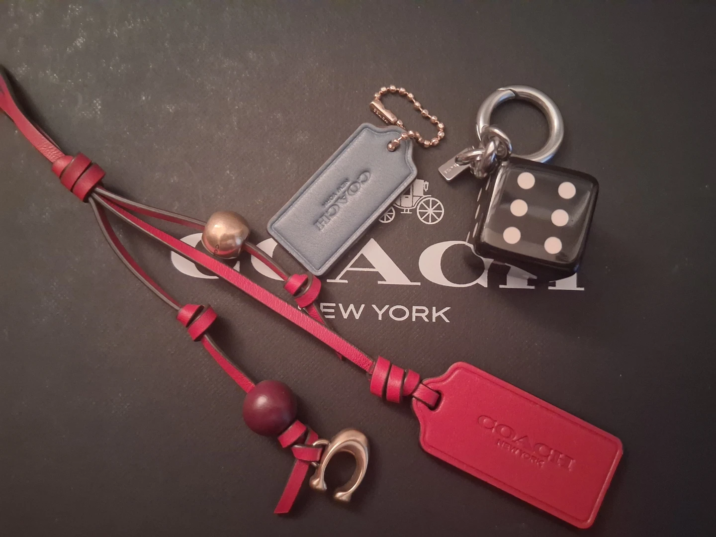 Coach Charms and Keychain Set
