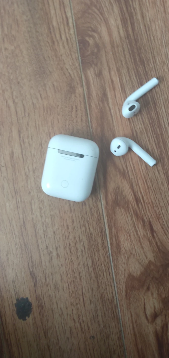 Apple AirPods (2nd Generation) with Charging Case - photo 2