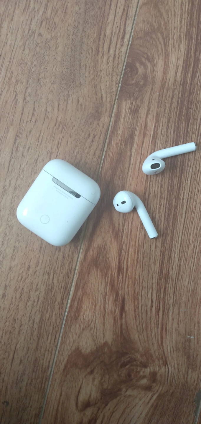 Apple AirPods (2nd Generation) with Charging Case - photo 3