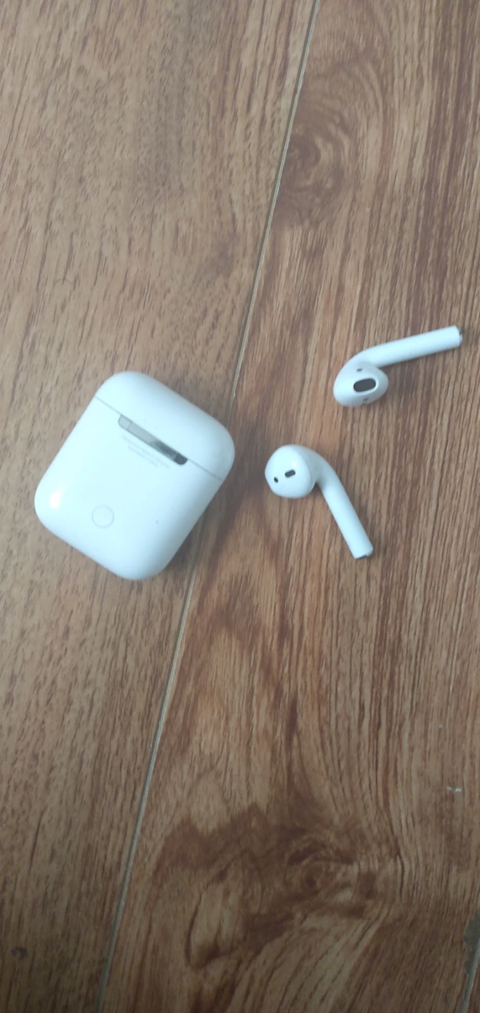 Apple AirPods (2nd Generation) with Charging Case - photo 4