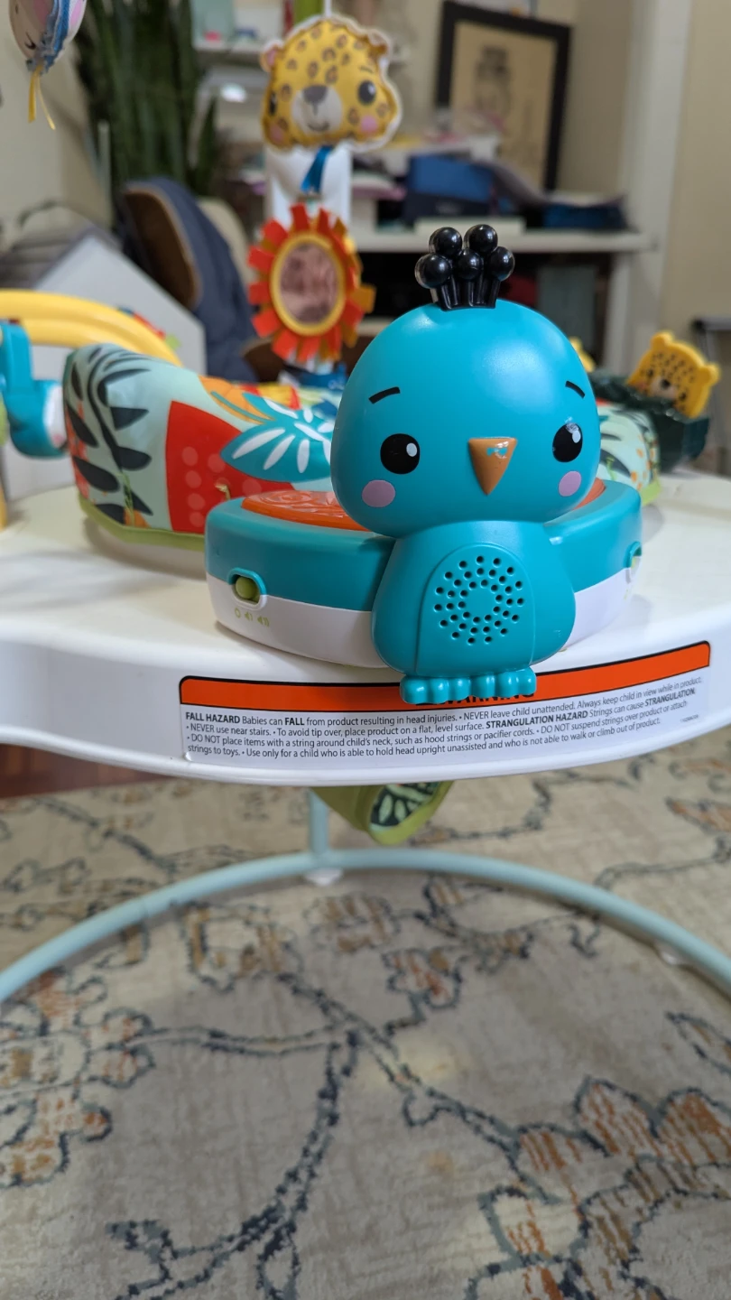 Fisher-Price Jumperoo