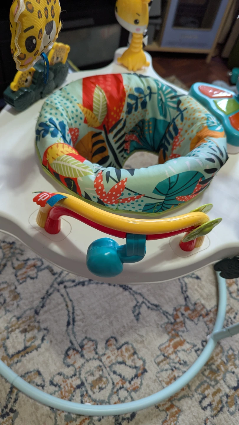 Fisher-Price Jumperoo - photo 2