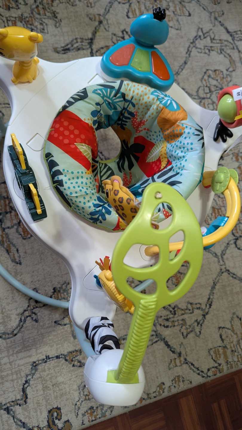 Fisher-Price Jumperoo - photo 3