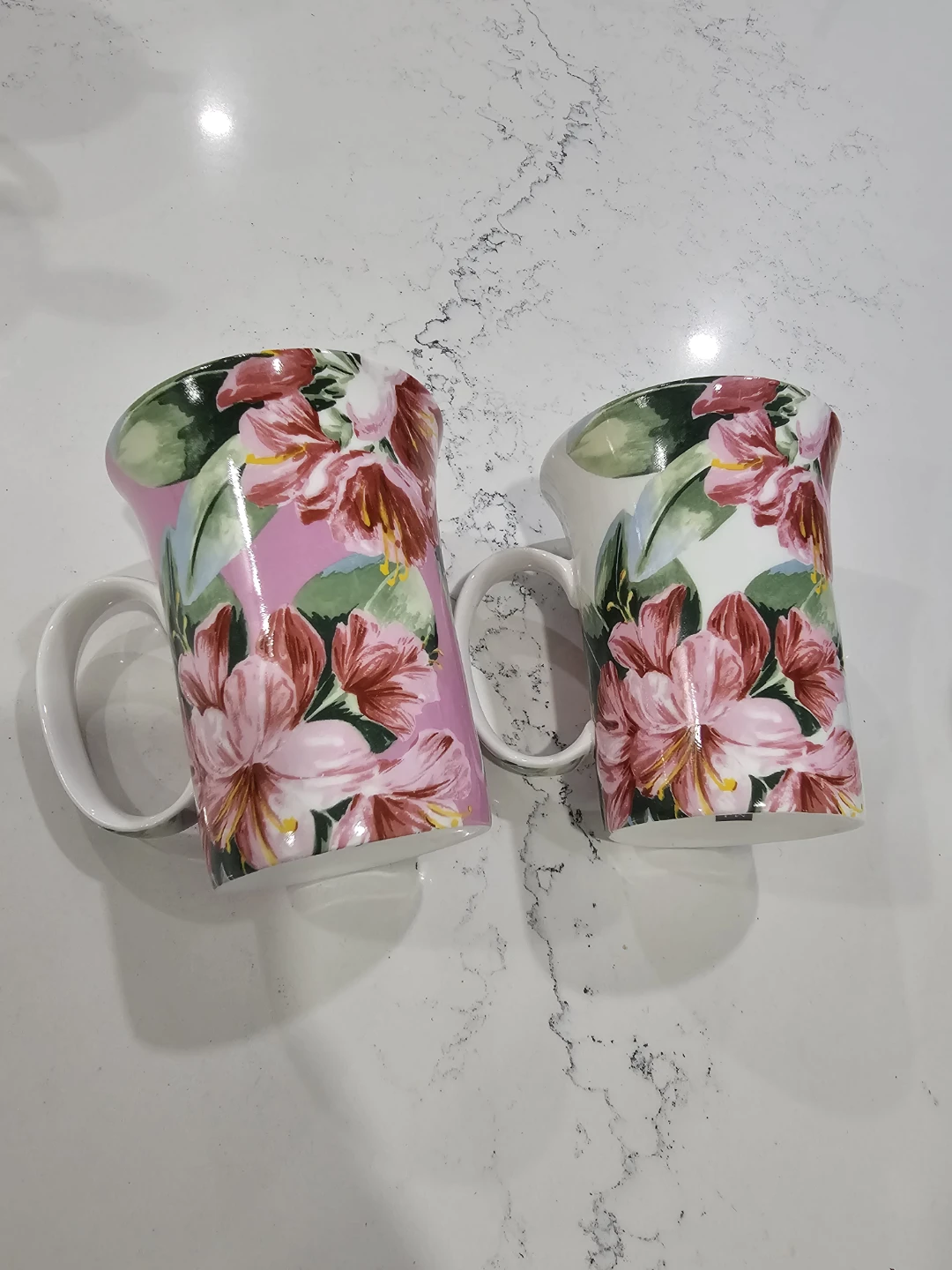 Mayfair & Jackson Fine Bone China Mugs Set of 2
