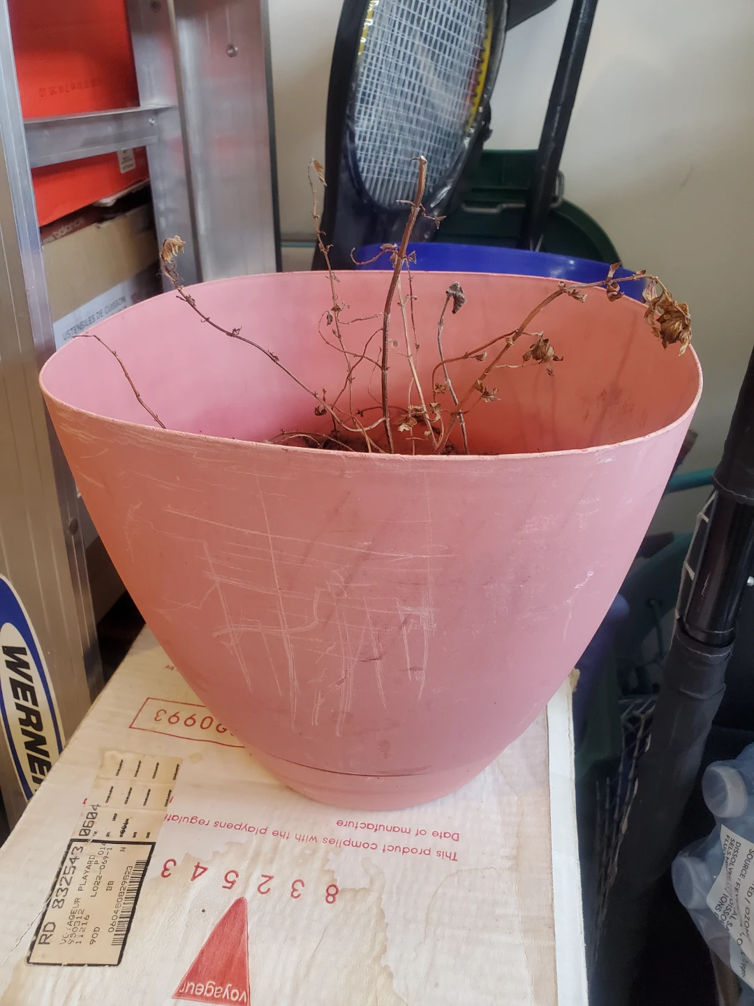 Pink Plastic Planter Pot - photo 2