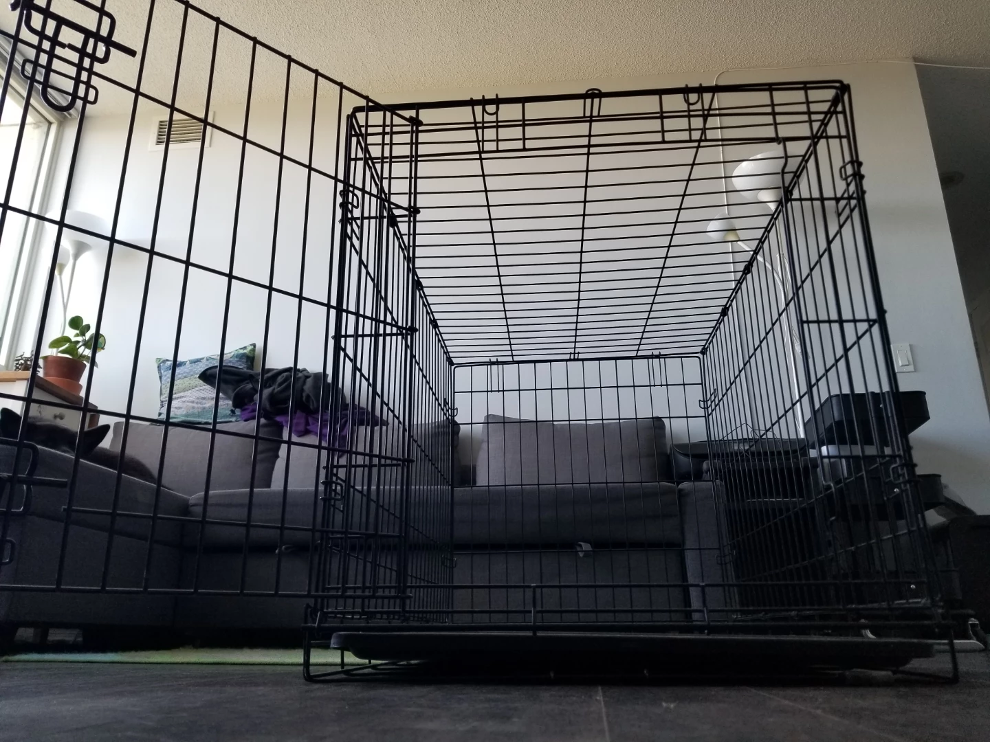 Single door (metal) dog crate - midwest - 36 inch - photo 3