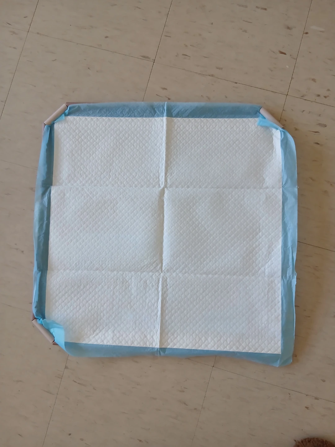 Out! Pad Holder for Pet Training Pads - photo 3