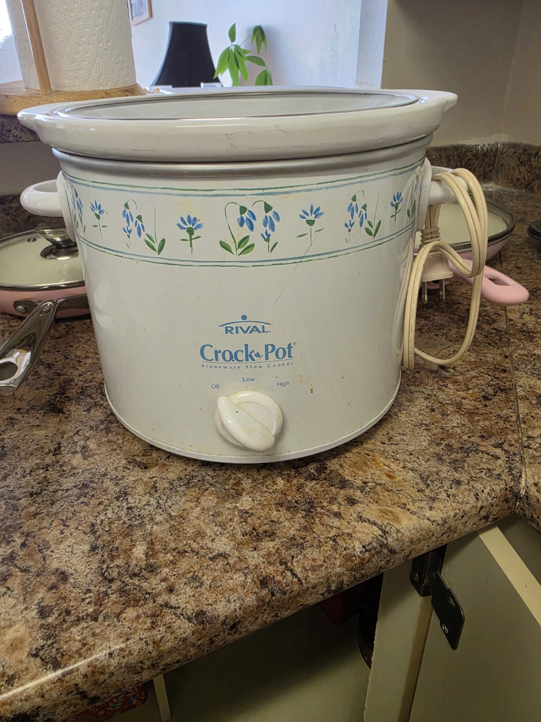 Crock Pot and Food Processor