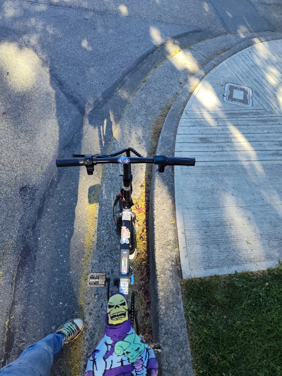BLUTRON Folding Electric Bike - photo 4