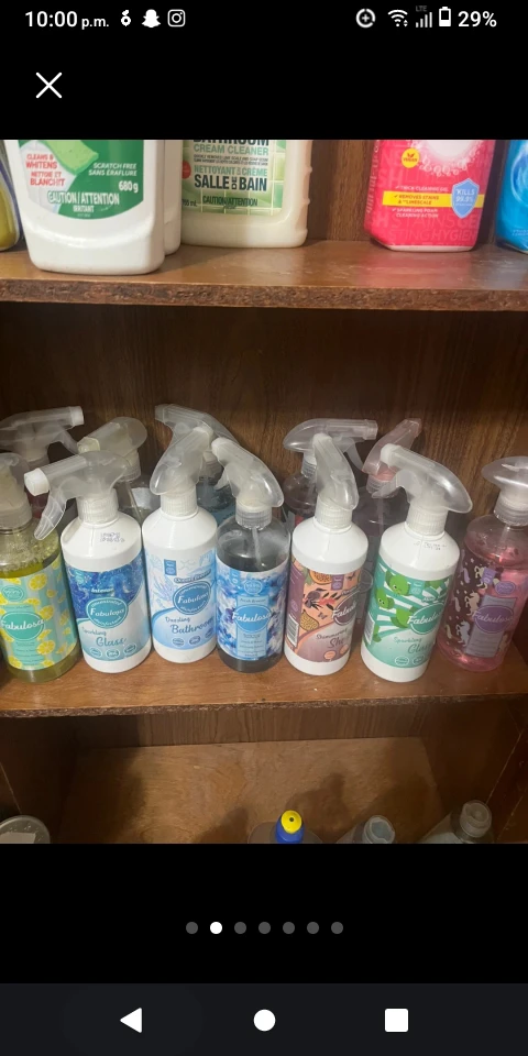 Fabulosa Multi-Purpose Cleaner Lot - photo 5