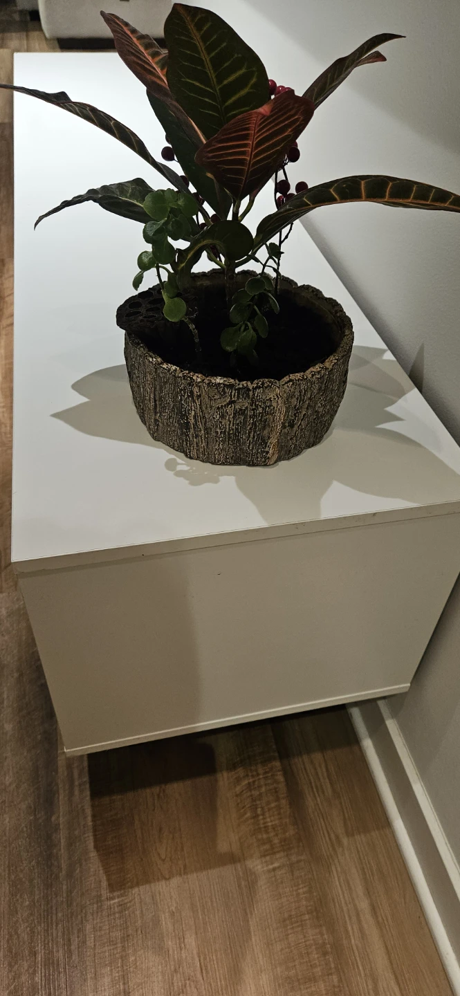 White and Walnut Media Console - photo 4