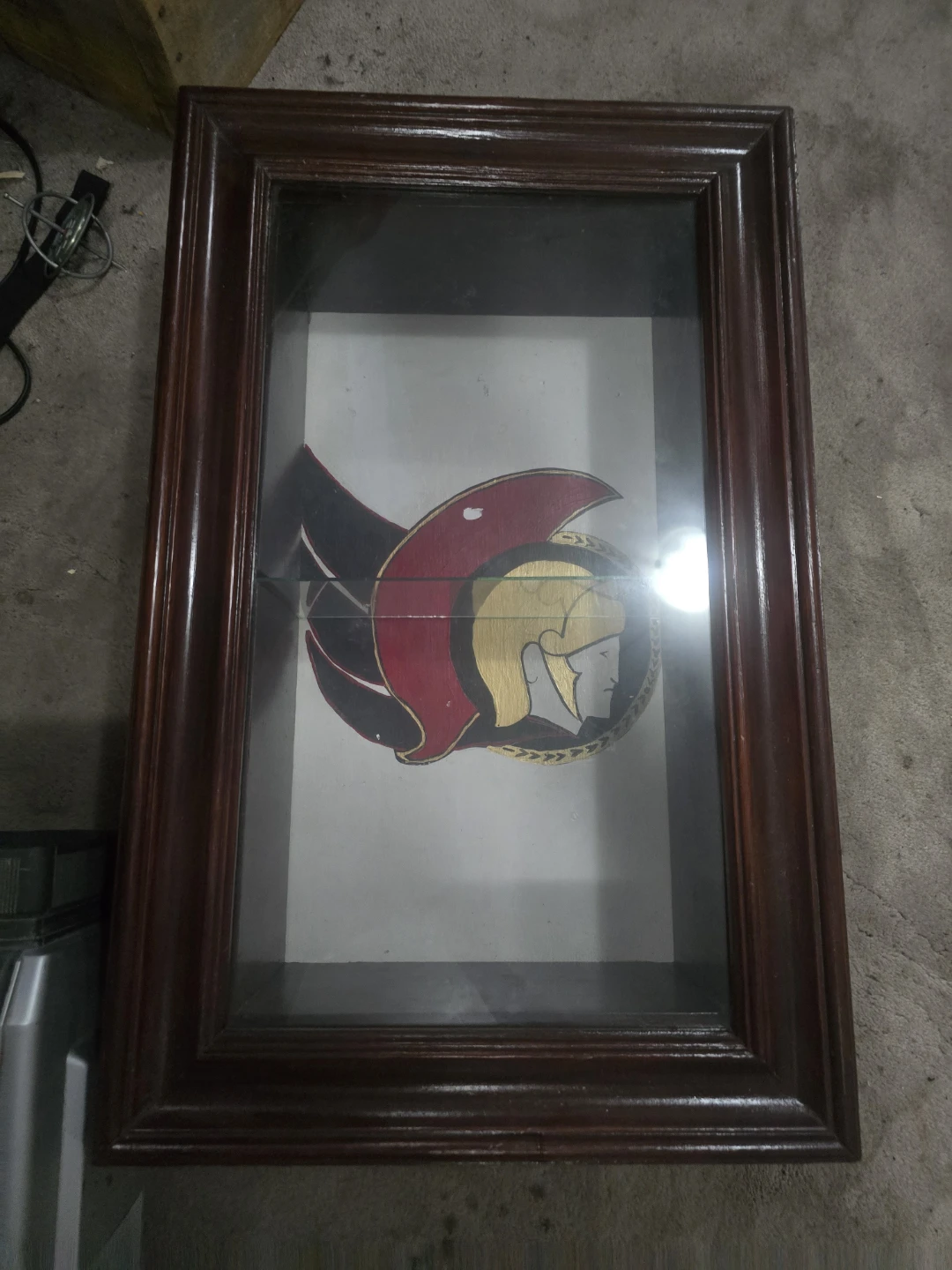 Ottawa Senators Shadow Box Display Case